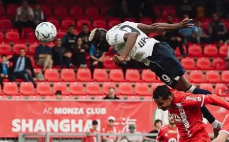 Best Of Osimhen - All Victor Osimhen goals